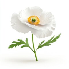 Poster - A pristine white poppy flower stands tall.