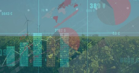 Poster - Line graphs and bar charts flowing over rapeseed field with wind turbine icons in flat design