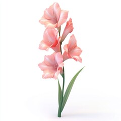 Poster - delicate, pinkish-peach gladiolus blossom against white.