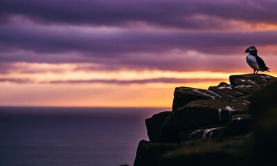 Wall Mural - puffin on rocky cliffs against sunset backdrop by sea