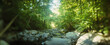 © Michael Marquand - Panoramic stream flowing through a forest, Kaaterskill Falls, Catskill Mountains, Hunter, Greene County, New York State, USA.