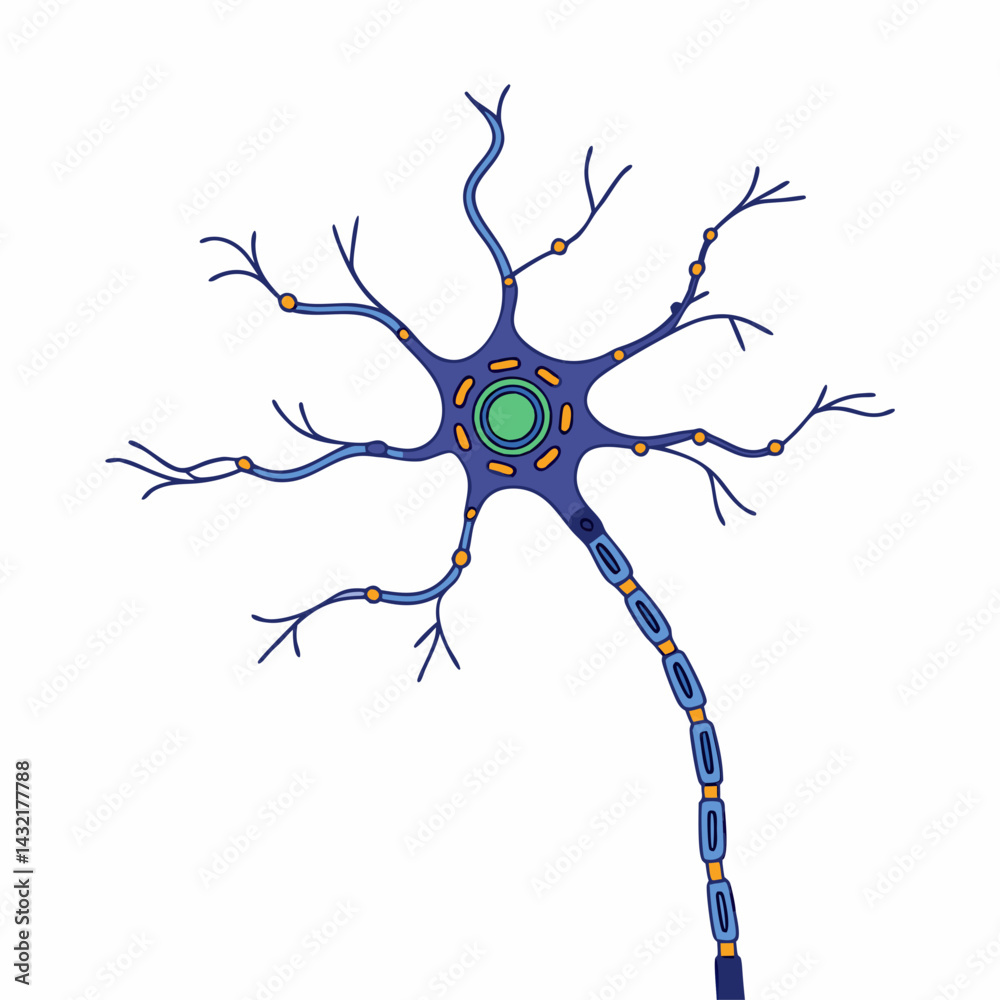 Colorful vector illustration of a neuron with branching dendrites and ...