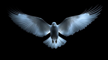 Aufkleber - Glowing white dove in flight against a black background. (1)