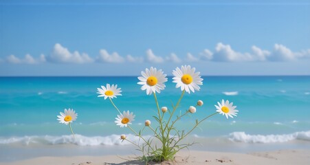 Poster - A sunny coastal scene with daisies flourishing on a sandy beach with the ocean in the background under a vibrant, clear sky. The bright day hints at summer and calmness.