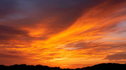 Poster - vibrant sunrise paints sky in radiant gold and orange hues, casting warm glow over silhouetted landscape
