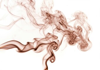 Poster - Intricate patterns of brown smoke swirling gracefully against a pristine white background display
