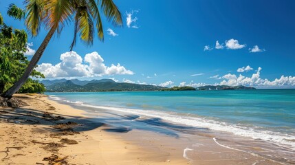 bright sunny beach with clear blue skies