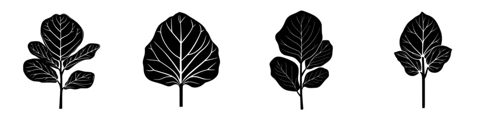 Poster - variety of black leaf icons representing different plant shapes and sizes for nature-themed design p