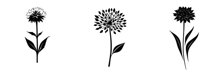 Poster - black floral icons depicting three different flower designs with unique petal arrangements and leave