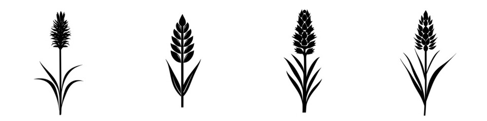 Poster - black icons representing different varieties of plants displayed on a clean white background for des
