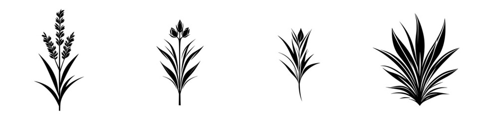 Poster - black icon illustrations of various plants showcasing unique silhouettes and forms for design and gr