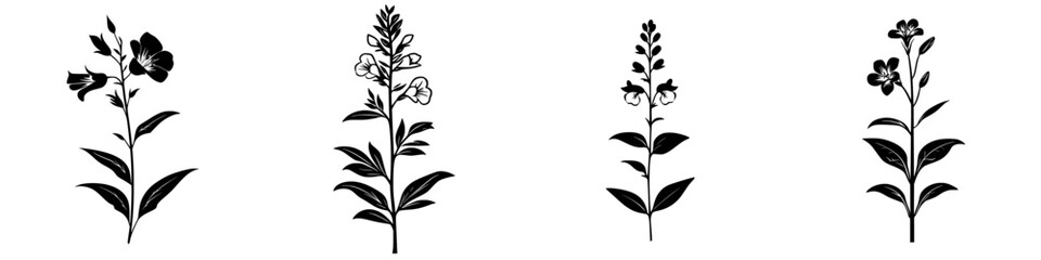 Poster - decorative black floral icons showcasing various plant designs for creative projects and graphic use