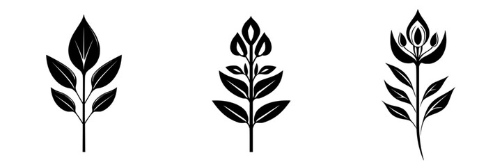 Poster - elegant black floral icons depicting leaves and blossoms in a minimalist style suitable for various 