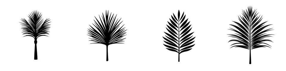 Poster - different styles of black palm tree icons for design projects and artistic use, showcasing diverse l