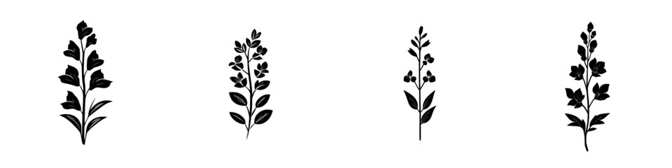 Poster - various black floral icons on a white background illustrating diverse plant forms and leaf structure