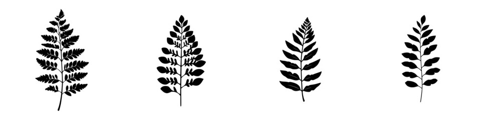 Poster - collections of black fern silhouettes on a white background showcasing various leaf shapes and sizes