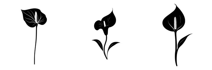 Poster - stylized black icons of calla lilies arranged side by side representing a modern floral design conce