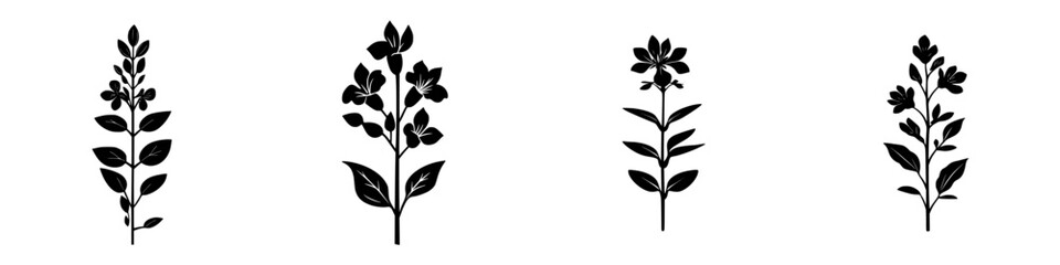 Poster - black botanical icons featuring various flower designs arranged in a line for decorative or illustra