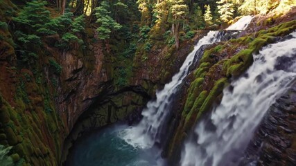Aufkleber - Exploring a tranquil waterfall surrounded by lush greenery in a serene forest setting