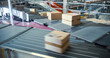 © Gorodenkoff - Private and Retail Parcels Navigate an Automated Conveyor Line in a Sorting Center, Ready to be Delivered. Logistics System Operation Flow and Package Handling in a Warehouse