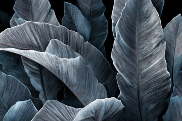 Poster - Close-up of textured blue-gray leaves, creating a sleek and elegant appearance, showcasing natural beauty and sophistication, ideal for design backgrounds