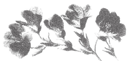 Aufkleber - Detailed stipple halftone print of a delicate flower arrangement showcasing artistic texture and intricate design