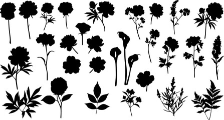 flowers, plants set silhouette isolated vector