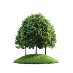 nature conservation concept. a stylized tree on a grassy mound against a black background. isolated 