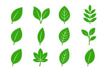 Poster - Icon set featuring various green leaf designs for nature-related projects and applications