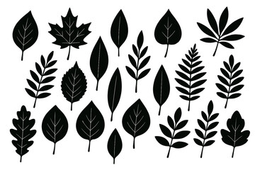 Poster - Diverse black silhouette leaf icon set for design and decoration projects