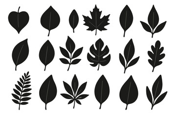 Poster - Collection of black leaf icons featuring various shapes and sizes for design and decoration
