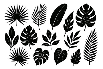 Poster - Icon set of various tropical leaves in a modern design style suitable for creative projects and visual needs