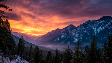 Poster - Majestic sunset over snow-capped mountains and evergreen forest, creating a serene and dramatic landscape, ideal for nature or travel themes