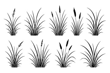 Poster - Icon set featuring various grass and plant designs for creative projects and digital use
