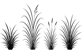 Poster - icon set of various types of grass with different heights and shapes suitable for design projects