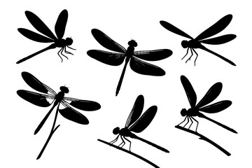 Poster - Collection of dragonfly icons showcasing various poses and angles for graphic design use