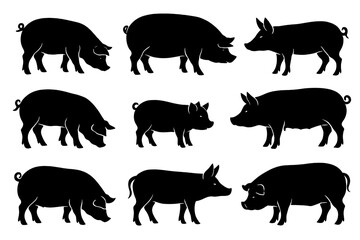 Poster - Unique black silhouette icon set of various pig poses for design projects and illustrations