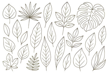 Poster - Assorted line art leaf icons showcasing botanical elements for design projects and illustrations