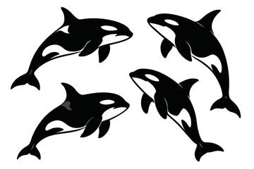Poster - Icon set featuring black and white orcas in dynamic poses for creative projects and designs