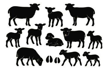 Poster - Collection of black sheep and lamb icons for various design purposes and projects
