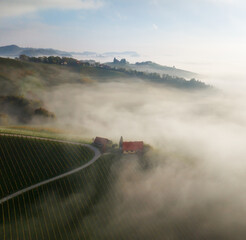 Wall Mural - aerial landscape with fluffy morning mists over the picturesque, autumn-covered rolling hills near m