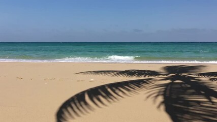 Aufkleber - Sunlight casting palm tree shadow on golden sandy beach, gentle waves lapping shoreline, creating peaceful tropical seascape with serene ocean horizon