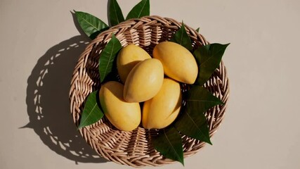 Aufkleber - Golden mangoes lie in a wicker basket adorned with green leaves, casting a subtle shadow on a smooth beige backdrop, creating a visually appealing display of tropical freshness