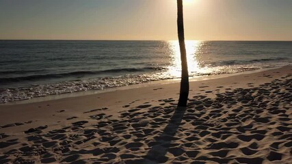 Poster - Warm sunlight illuminating sandy coastline, gentle waves caressing shore with silhouetted palm tree, leaving delicate footprints across tranquil tropical landscape during golden sunrise