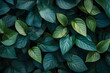 © TheseusStock - Green leaves background, with dark green and blue colors.