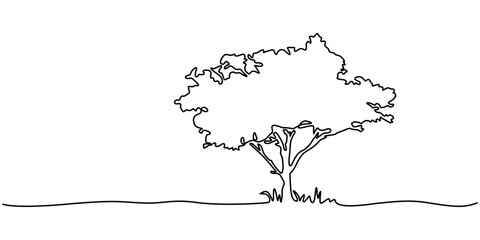 Fototapete - Continuous one line drawing of tree on white background. Vector illustration, Tree in continuous line art drawing style. Giant and powerful tree black linear design isolated. Christmas tree one.