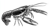 160_f_1434251944_lj9jvanbqw7hlp2pgni2a829scw5oinj