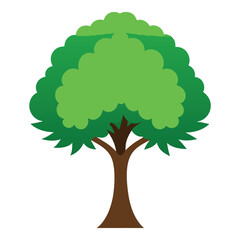 elm tree branch artwork