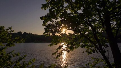 Poster - Golden hour sunlight filtering through verdant leaves, casting shimmering reflections across tranquil lake surface while sun descends behind silhouetted forest treeline