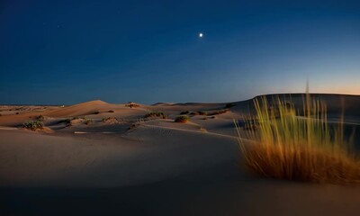 Wall Mural - moonlit desert landscape at dusk with sand dunes and sparse vegetation